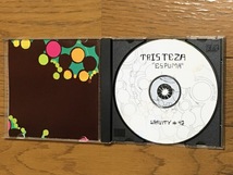 Tristeza / Espuma ポストロック 音響 傑作 輸入盤(US盤 品番:Gravity42) 廃盤 Album Leaf / THE LOCUST / Swing Kids / The Crimson Curse_画像4