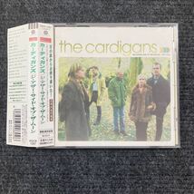 【洋楽1】貴重なCDです！The Cardigans カーディガンズ　　ジ・アザー・サイド・オブ・ザ・ムーン　レア曲集　国内盤_画像1