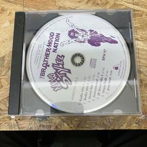 ● HIPHOP,R&B THE BROTHER/HOOD NATION - NEW STYLEE INST,シングル!,RARE! CD 中古品