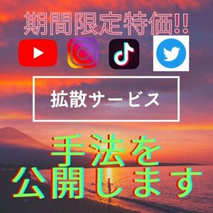 ★初回限定価格★【Twitter】拡散サービスの手法販売【Twitter・Instagram・TikTok・YouTube対応】【再生回数・フォロワー・いいね】