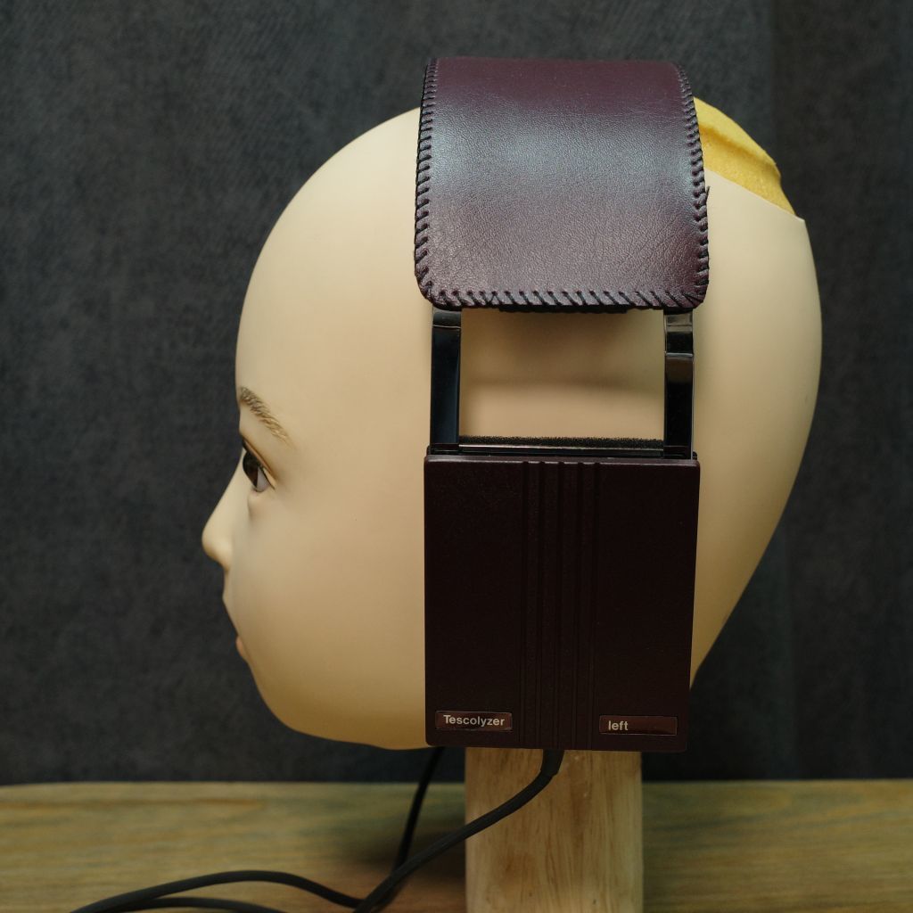 Tescolyzer Stereo Headphones テスコライザー | www.tspea.org