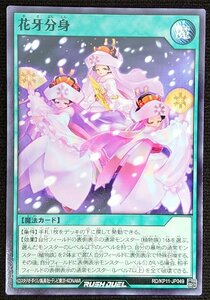 【遊戯王ラッシュデュエル】花牙分身(ノーマル)RD/KP11-JP049 x3枚セット