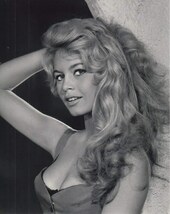 ブリジッドバルドー　Brigitte Bardot　輸入　写真　10652、洋画_画像1