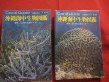 ☆沖縄海中生物図鑑　　　　 第１巻 ～ 第１０巻 までの１０冊　　　　 新星図書シリーズ 　　　　　【沖縄・琉球・自然・海洋生物・図鑑】_画像6