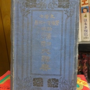 新式独和大辞典      文学士 登張信一郎      裸本       大倉書店の画像5