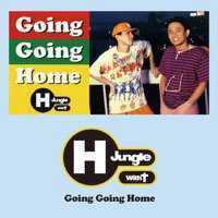 限定盤【新品】H Jungle With t - GOING GOING HOME レコード