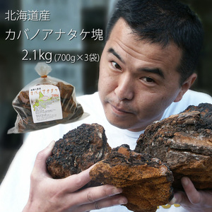 業務用 カバノアナタケ茶塊(原体)2.1kg(700g×3袋セット)北海道産チャーガ茶100%(かばのあなたけ茶)樺孔茸茶 チャーガティ【送料無料】