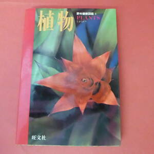 S2-221019☆植物しょくぶつ　野外観察図鑑2　　旺文社