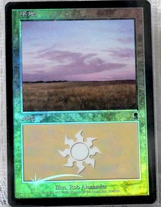 MTG 平地 Plains Foil Rob Alexander 