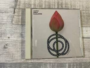  super rare!! super hard-to-find!! JAZZ/ healing CD Hattori ..[ music field 14~ Lotus * Dream ]( Suntory whisky [.]CM bending ) other DISK1