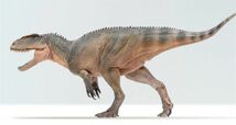 PNSO 成長シリーズ 62 シンラプトル 恐竜 動物 フィギュアおもちゃ 模型 リアル PVC 恐竜好き 誕生日 プレゼント 21.6cm級_画像2