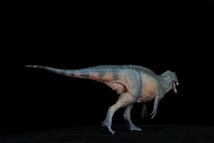 PNSO 成長シリーズ 62 シンラプトル 恐竜 動物 フィギュアおもちゃ 模型 リアル PVC 恐竜好き 誕生日 プレゼント 21.6cm級_画像5