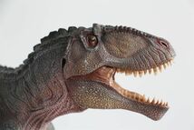 Nanmu 本心楠改 1/35 サイズ ギガノトサウルス 恐竜 大型 肉食 リアル フィギュア プラモデル おもちゃ 模型 プレゼント 42cm級 ブルー_画像10