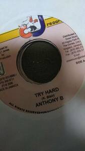 Foundation Re-Make Leroy Smart's Without Love Riddim Single 4枚Set from CJ Records Anthony B Anthony Cruz Bush Man Leroy Smart