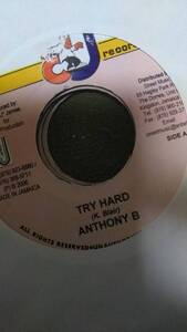 Foundation Re-Make Leroy Smart's Without Love Riddim Single 4枚Set from CJ Records Anthony B Anthony Cruz Bush Man Leroy Smart