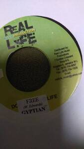 美しい Acoustic Bingi Track Real Meditation Riddim Single 2枚Set from Real Life Gyptian Lutan Fyah