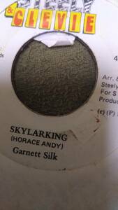 Foundation Track Re-Make Skylarking Riddim Single 2枚Set from Steely & Clevie Garnet Silk Pancho