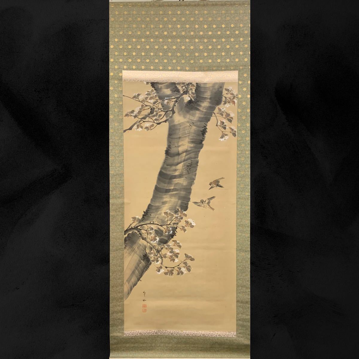 [Reproducción] (Alcanfor 07) Reizan, inscrito, sakura, Gorrión, pergamino colgante, pintura japonesa, con caja, aprox. 200x77cm, Cuadro, pintura japonesa, Flores y pájaros, Fauna silvestre