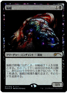 MTG　脳蛆　日本語　1枚迄　FNM　Foil