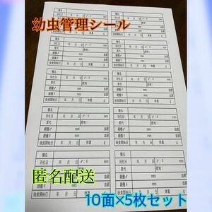 【匿名&24時間以内配送】幼虫管理ラベルシール　5枚セット