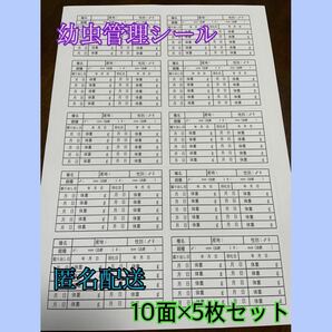 【匿名&24時間以内配送】幼虫管理ラベルシール　5枚セット