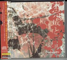 Phantasmagoria ファンタスマゴリア「未完成とギルト」限定盤　CD+DVD V系　2005年　帯付き・送料無料_画像1