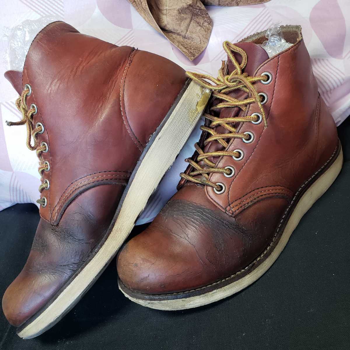 廃盤美品刺繍羽タグ RED WING ClassicMoc No.8130 8D www.capex.com.ph