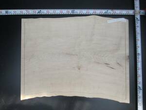 k062901 maple tray * thickness approximately 7mm