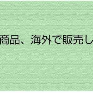 eBay(イーベイ)海外 出品サポート 海外輸出 英語 翻訳 