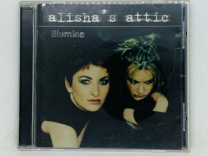 即決CD 独盤 alisha's attic illumina / アリーシャズ・アティック / going down , resistor / アルバム Z38