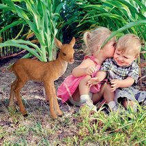 子鹿　森の野生動物自然フィギュア彫刻置物アウトドア対応庭園オーナメントガーデンデコレーションアニマル動物彫像庭鹿の赤ちゃんバンビ_画像1