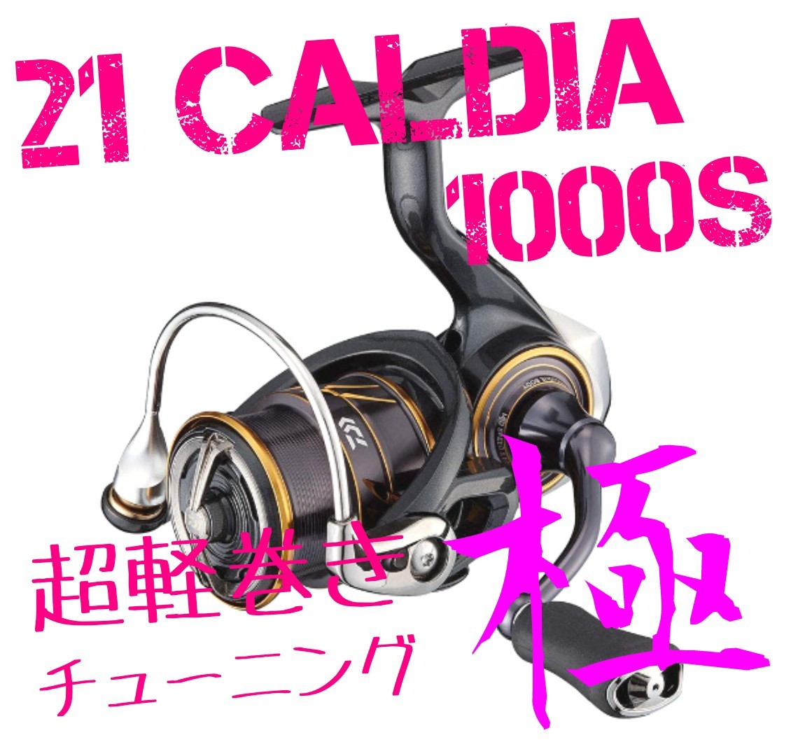 セール中【超軽巻きチューニング 極】20 レブロス LT 2000S｜PayPayフリマ