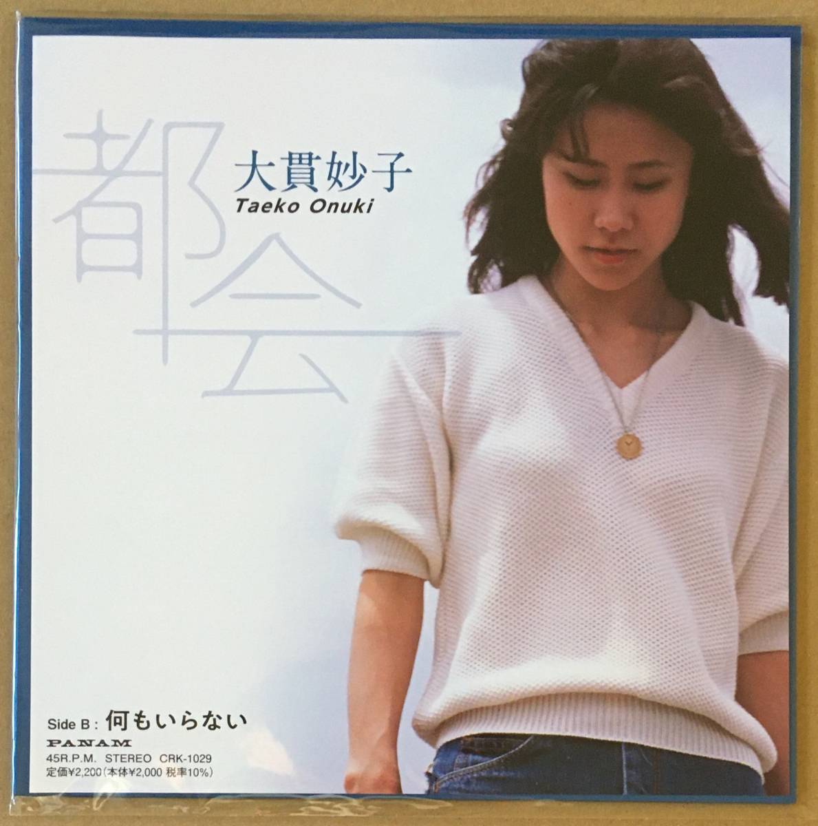 ヤフオク! -大貫妙子 サンシャワー レコードの中古品・新品・未使用品一覧
