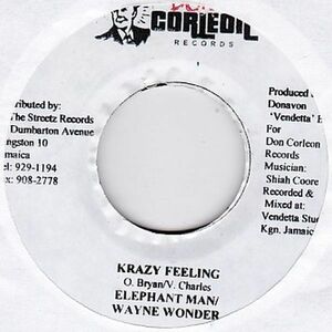 Epレコード　ELEPHANT MAN & WAYNE WONDER / KRAZY FEELING (KRAZY)