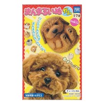 タカラトミーアーツ まんまるいぬ ガム ミニチュア・ダックスフンド まんまるどうぶつ 犬 食玩 デスクトップ フィギュア_画像2