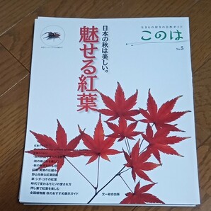 【裁断済】このは 生きもの好きの自然ガイド No.5