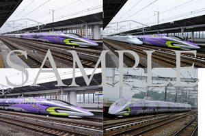 D【鉄道写真】L版4枚　５００系新幹線　エヴァ新幹線　山陽新幹線　JR西日本