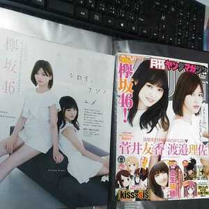 切り抜き　その53　月刊ヤングマガジン　欅坂46　菅井友香　渡邉理佐