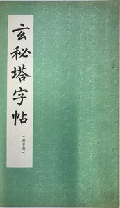 蘇東坡豊楽亭記字帖　（選字本）