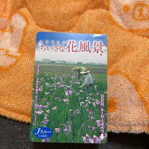 jスルーカードJR西日本花菖蒲京都府城陽市使用済み