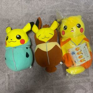 ピカチュウねぶくろコレクション ポケモン