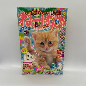 にゃんCOMI ねこぱんちNo.131 ひえひえ号