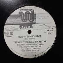 THE MIKE THEODORE ORCHESTRA / HIGH ON MAD MOUNTAIN /DJ HARVEY_画像2
