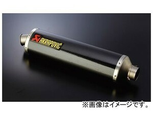 アクティブ （AKRAPOVIC） ［M-TCDE6/35］ EVO サイレンサー カーボン 60／350／60 D-TYPE MTCDE635