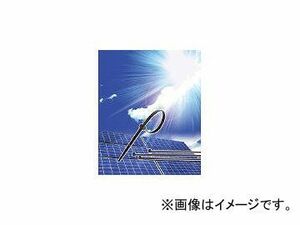 ヘラマンタイトン ガルバロック 幅４．８Ｘ長さ３０１ｍｍ １００本入 屋内外兼用