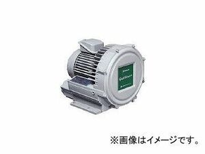 昭和電機/SHOWADENKI 電機 電動送風機 渦流式高圧シリーズ ガストブロアシリーズ(0.4kW) U2V40T(2387417) JAN：4547422000295