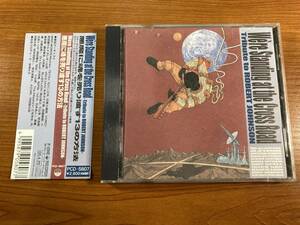 【1】2658◆We're Standing At The Cross Road◆悪魔に魂を売り渡す13の方法 ロバート・ジョンソン・トリビュート◆PCD-5807◆