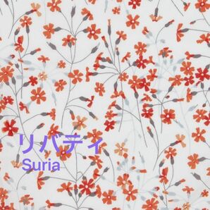 【輸入Liberty リバティ】Suriaスリア　2011年136cm×100cm送料無料　No.2