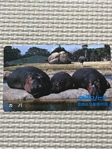 [ unused ] telephone card hippopotamus. ... park Toyohashi synthesis moving plant .