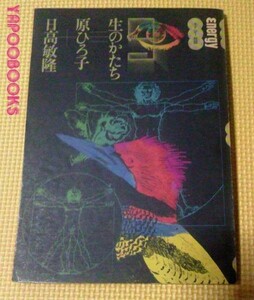 ☆energyエナジー対話 劇的言語＝原ひろこ＋日高敏隆　1977